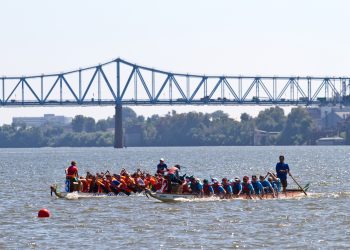 The Dragons are Back!