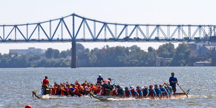 The Dragons are Back!