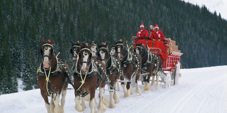 Anheuser-Busch Clydesdales to Join 2014 Christmas Parade