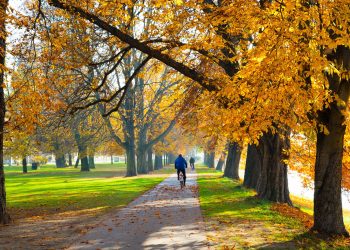 Neighborhood Alliance October Meetings