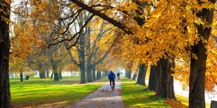 Neighborhood Alliance October Meetings