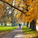 Neighborhood Alliance October Meetings