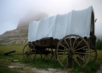 Southern Oaks to host ‘Pioneer Day’ activities