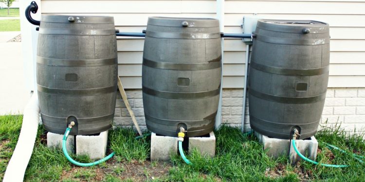 RWRA Hosting Rain Barrel Workshop