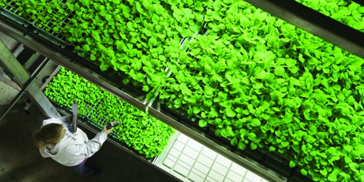 A Local Cure for a Global Crisis