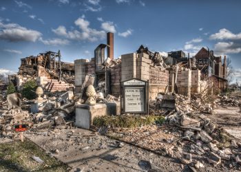 Rising from the Ashes