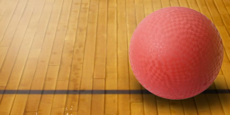 Adult CO-ED Dodgeball League