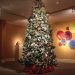 This Weekend in Owensboro – Nov. 21 & 22