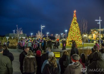 Holiday Stroll Recap