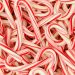 Owensboro Youth Council is hosting a Candy Cane Hunt at Moreland Park