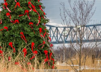 Holiday Stroll
