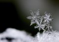 Warming Shelter Will Open Tonight
