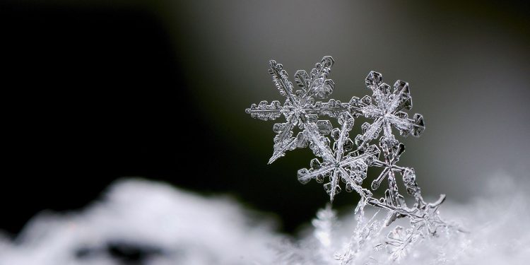 Warming Shelter Will Open Tonight