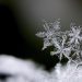 Warming Shelter Will Open Tonight