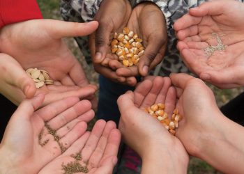 Sprouting Positive Futures