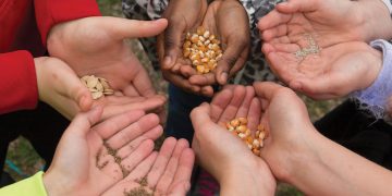 Sprouting Positive Futures