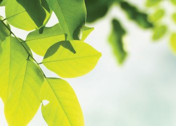 Do You Think We Have Time?