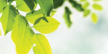 Do You Think We Have Time?