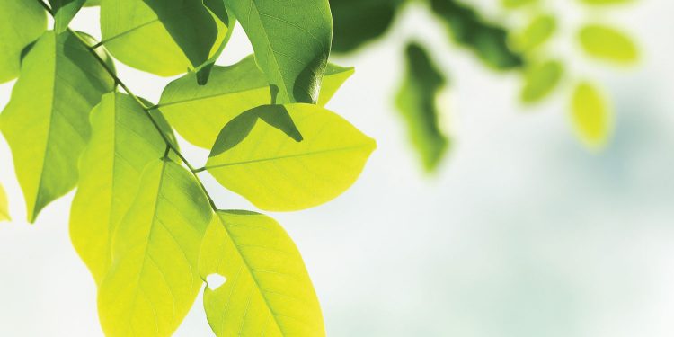 Do You Think We Have Time?