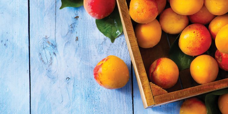 To Market, To Market