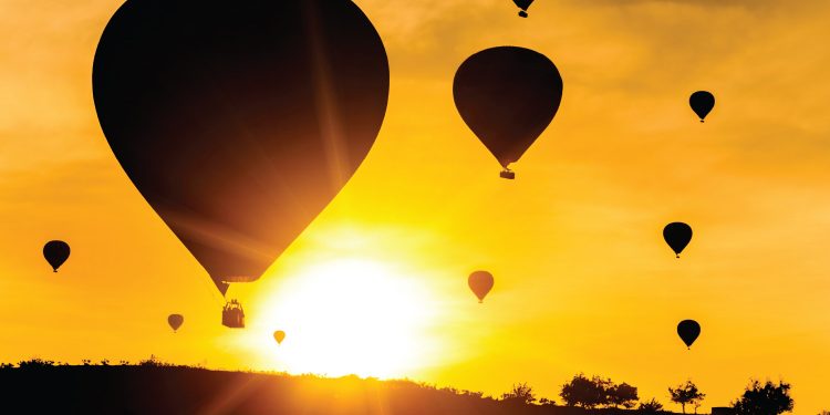 Dazzling Daylilies – Balloons Over the Garden