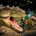 Up Close With Dinos