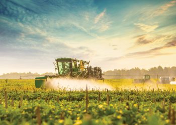 Greater Owensboro’s Modern Farmers