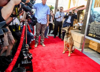 Max the Movie…Star