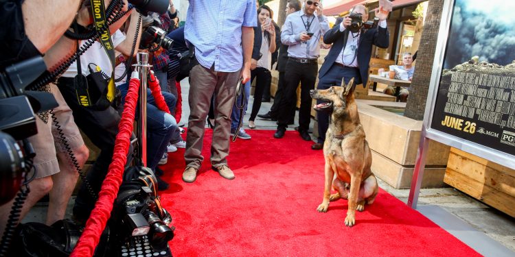 Max the Movie…Star