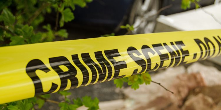 OPD Searching for Person of Interest