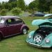 “Bugs in the Garden” Car Show