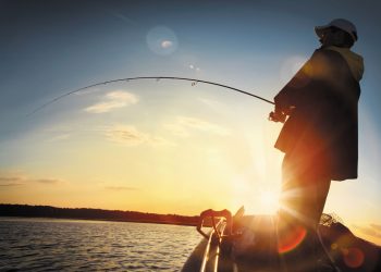 Monsters on the Ohio