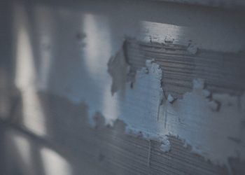 The Haunts of Owensboro