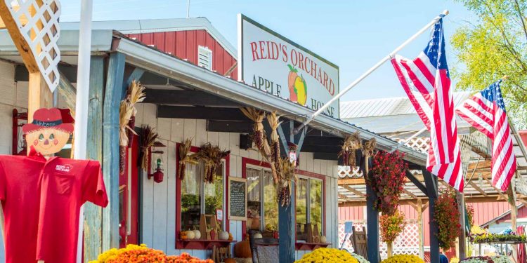 Reid’s Apple Festival This Weekend