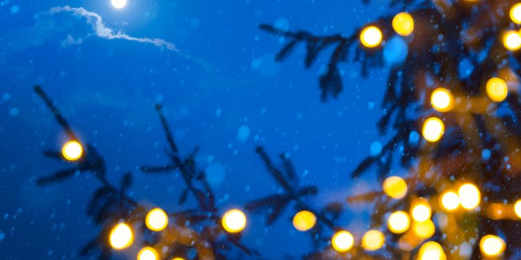 Holiday Activity Guide