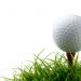 Veterans Play For Free