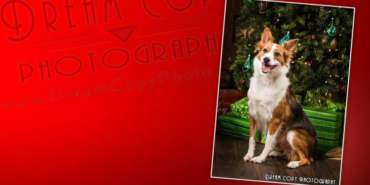 SparKY Rescue Offering Pancakes and Portraits for Pets