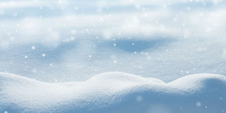 Parks & Rec Snow Day Camp