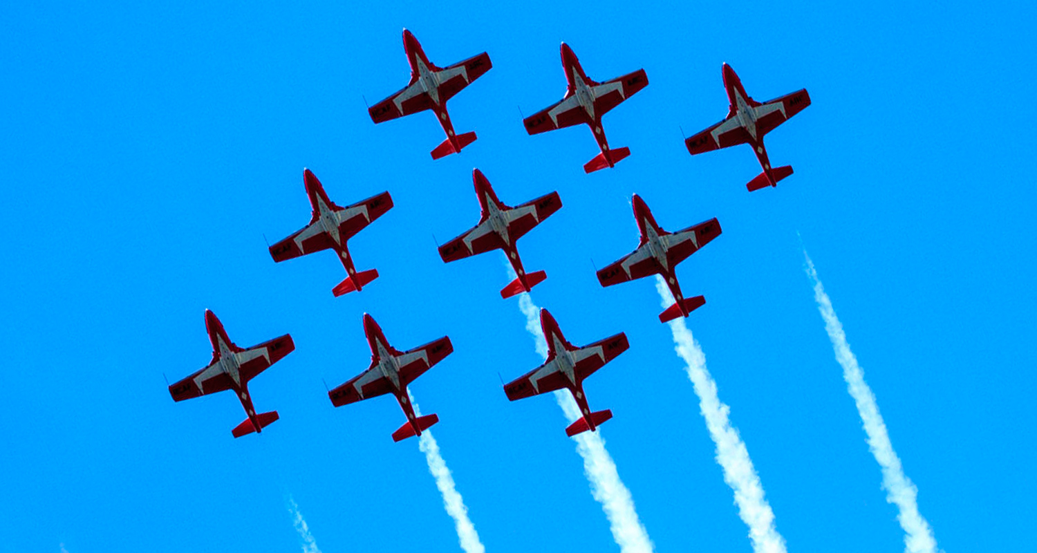 Snowbirds2