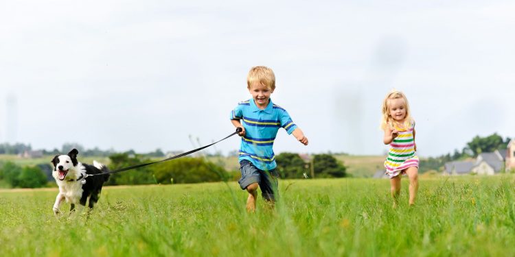 Easter Bone Hunt Saturday