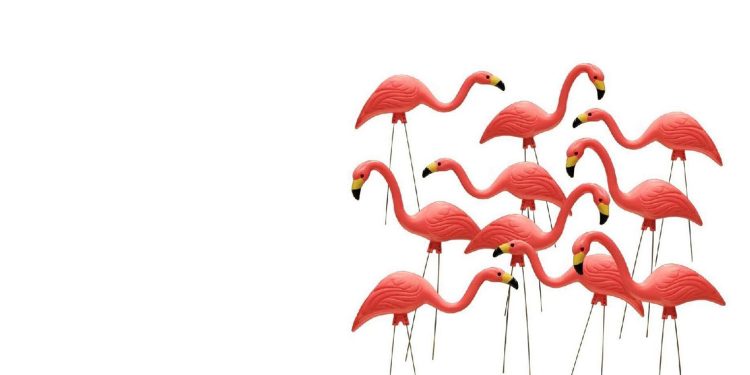 BMS cheerleaders host Flamingo Flock