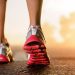 Walking and Riding Trails