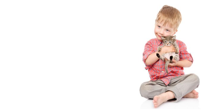 DCPL Going Crazy for Cats