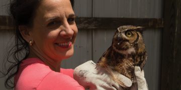 Going (Nat Geo) Wild for Animal Rehabbers