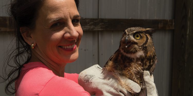 Going (Nat Geo) Wild for Animal Rehabbers