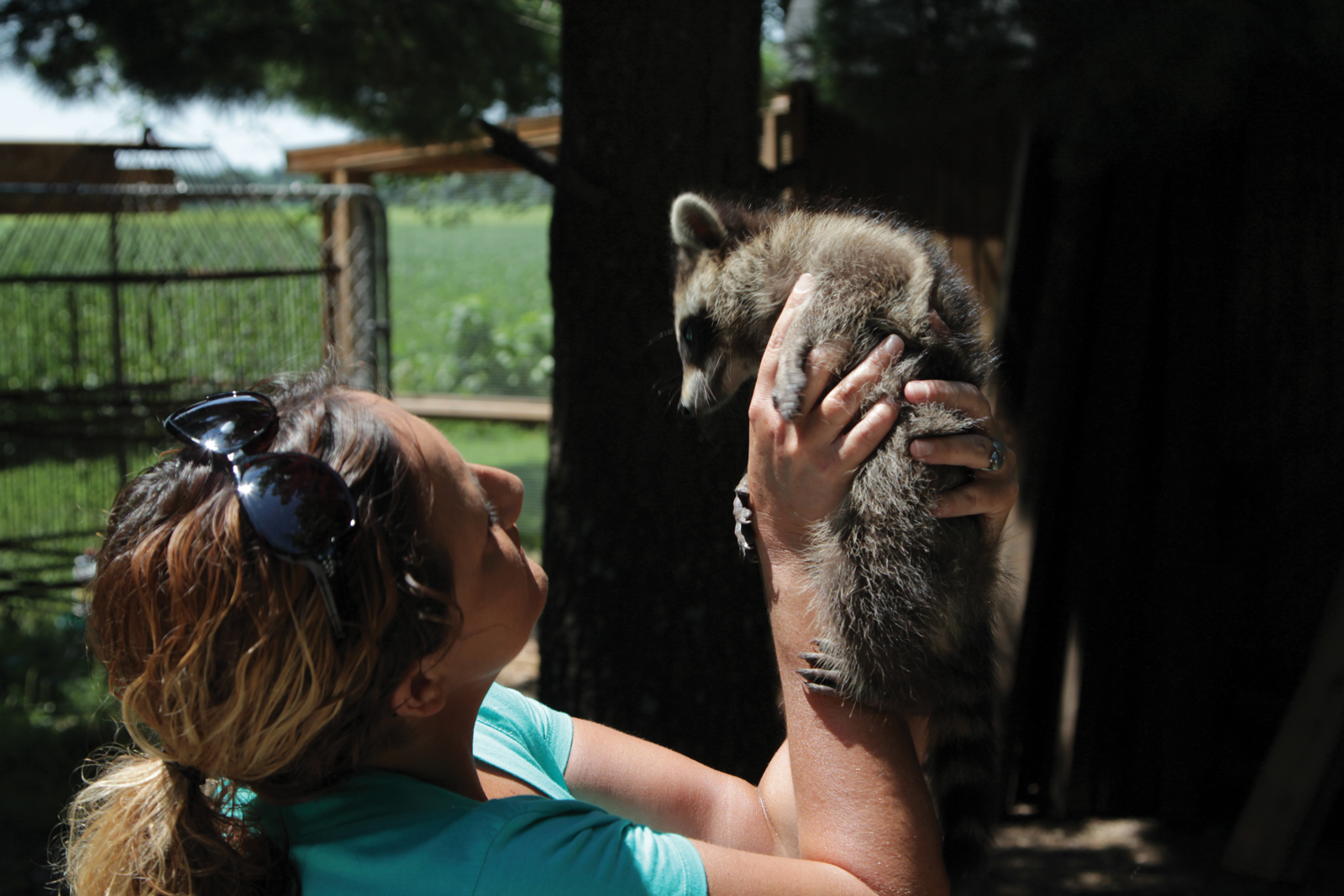 SACRAMENTO, KY.- Licensed wildlife rehabilitator Nikki Christian examines one of many young raccoons in her care. (Photo Credit: National Geographic Channels/Adrienne Allen)