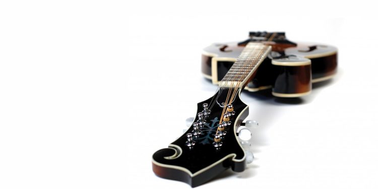 Experience Bluegrass Day Camp for Kids