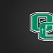 Owensboro Catholic Names New Director