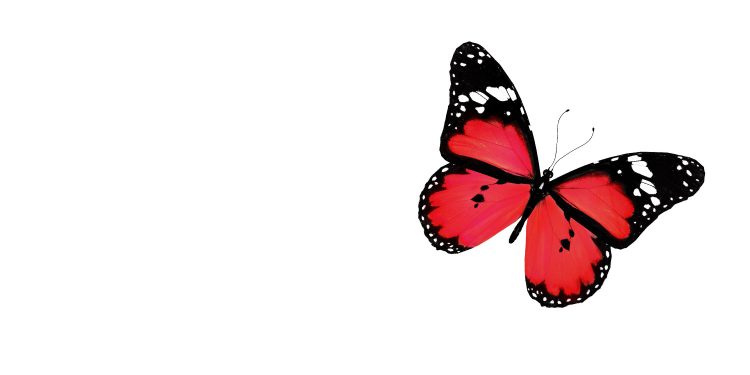 Bugs and Blooms Event at Joe Ford Nature Center