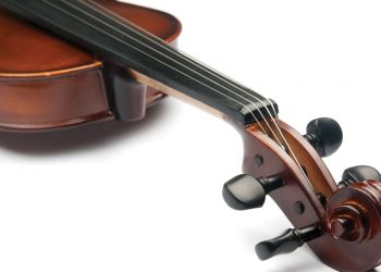 From LA to UK: Professional Violinist Orchestrates New Career in Law